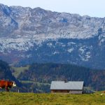 Alpages de Aravis (Savoie)
