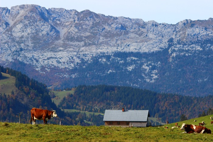 Alpages de Aravis (Savoie)