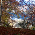 Abbaye de Tamié derrière la forêt (Savoie)