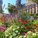 La cathédrale de Bourges et le jardin de l'hotel de ville
