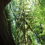 Sortie du grotte du Jura